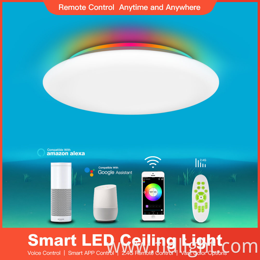 Minimalist Dimmable Color surface mounted Ceiling Lamp 